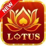 Teen Patti Lotus APP