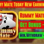 Rummy Mate APK